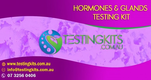 Hormones & Glands Test Kit for Kinesiologists and Chiropractors