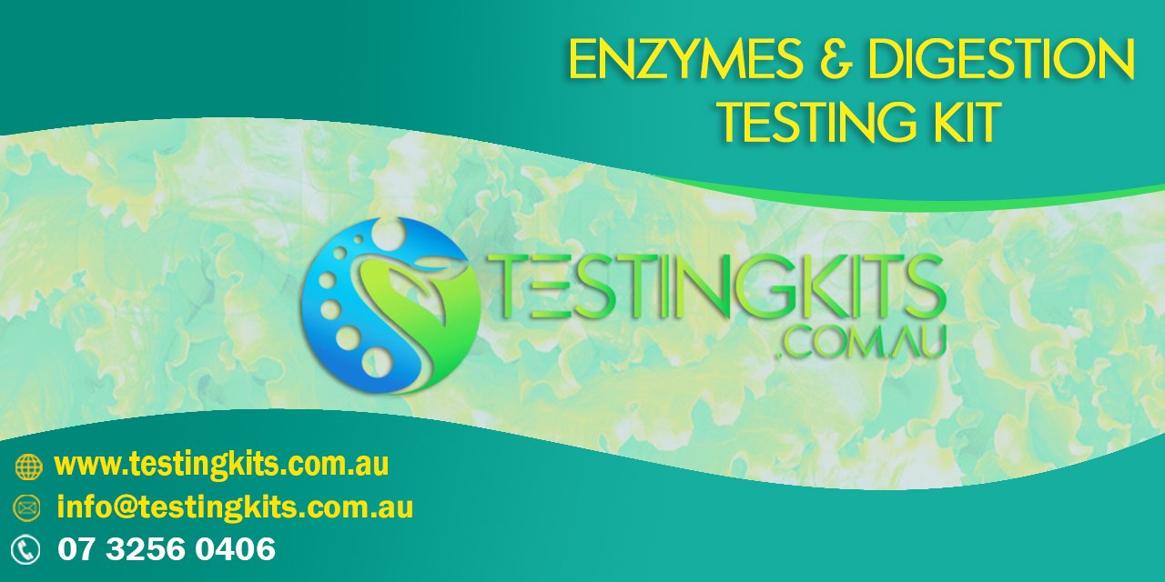 Buy-Enzymes-&-Digestion-Testing-Kit