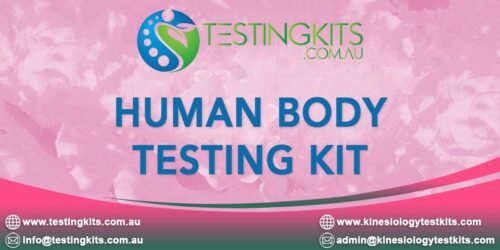 Human Body Testing Kit for Kinesiologists and Chiropractors