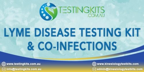 Lyme Testing Kit & Co-infections for Kinesiologists and Chiropractors