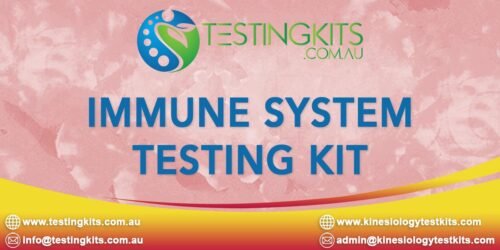 Immune System Testing Kit for Kinesiologists and Chiropractors