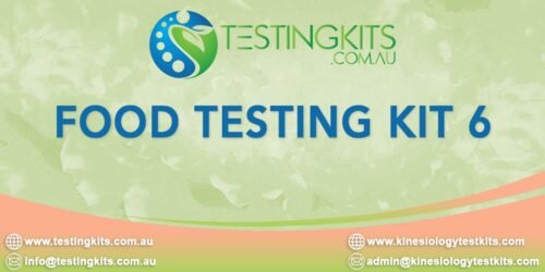 Food Testing Kit 6 Plastic Box