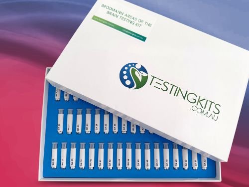 Brodmann Areas of the Brain Testing Kit Flat Box