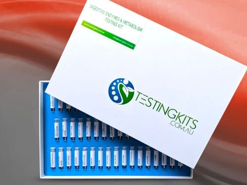 Digestive Enzymes & Metabolism Testing Kit Flat Box