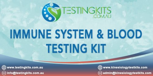 Immune System & Blood Test Kit for KInesiologists and Bioresonance Practitioners