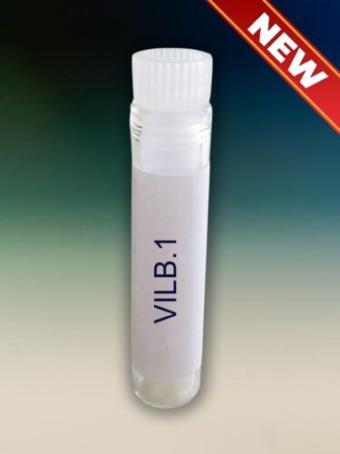 Omicron Subvariant LB.1