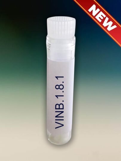 SARS-CoV2 (Covid-19 Virus) – Omicron Subvariant NB.1.8.1 - VINB.1.8.1 (Nimbus)